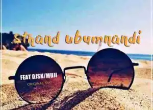 Wavemaster - Sthand’Ubumnand Ft. DJSk & Muji